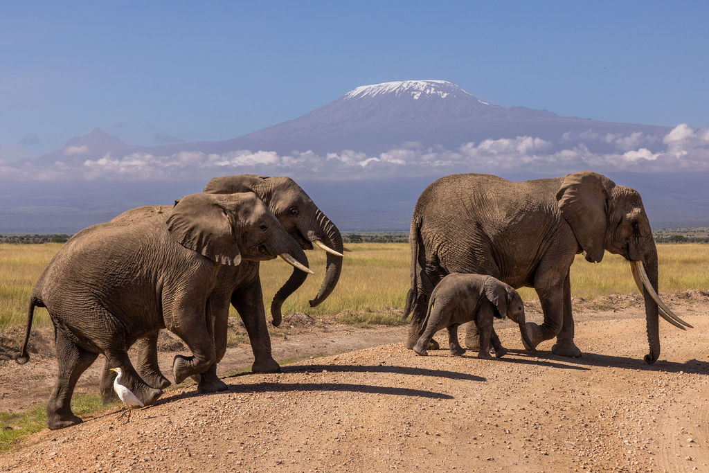 Maasai Mara